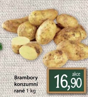 Brambory konzumní rané