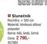 Slunečník