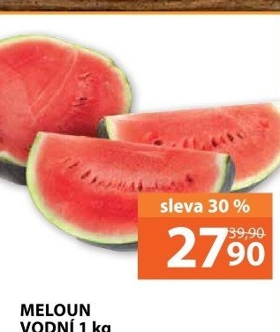 Meloun vodní