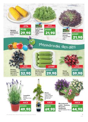 akční leták Kaufland 24.5.2018-30.5.2018
