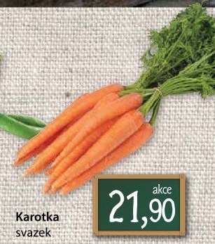 Karotka svazek