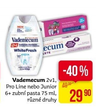 Pasty na zuby 2v1 Vademecum