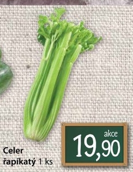 Celer řapíkatý