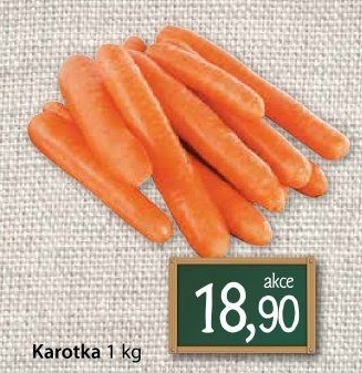 Karotka