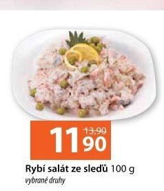 Salát rybí ze sleďů