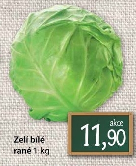 Zelí hlávkové bílé