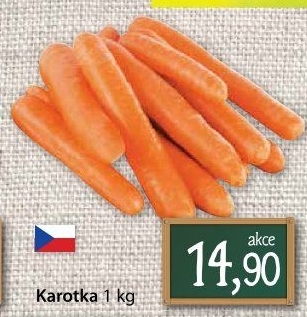 Karotka