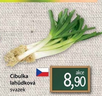 Jarní cibule svazek