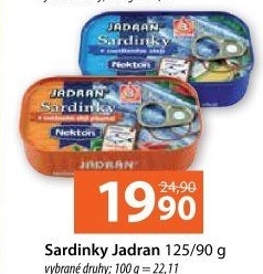 Sardinky Jadran Nekton