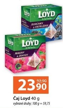 Čaj Loyd