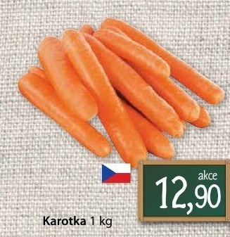 Karotka