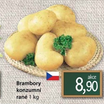 Brambory konzumní rané