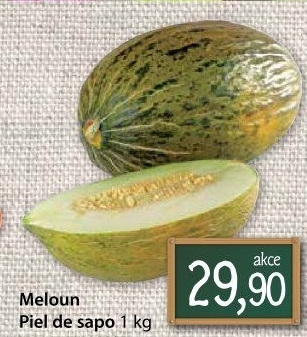 Meloun Piel de Sapo