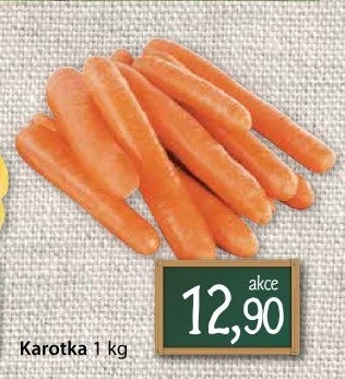 Karotka