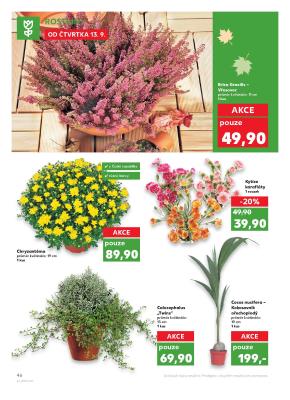 akční leták Kaufland 20.9.2018-25.9.2018