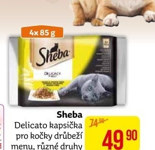 Kapsičky pro kočky Delicato Sheba
