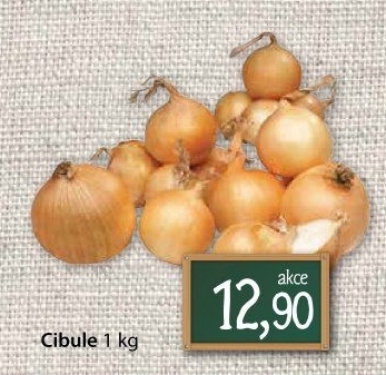 Cibule kuchyňská žlutá