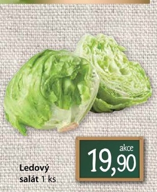Salát ledový