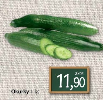Okurka hadovka