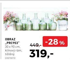 Obraz PRC953