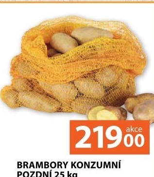 Brambory konzumní pozdní