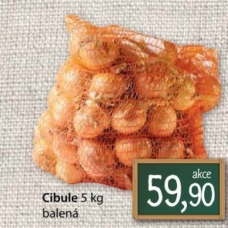 Cibule kuchyňská žlutá