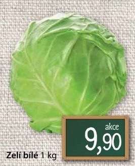 Zelí hlávkové bílé