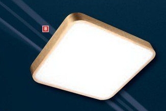 Stropní svítidlo Farina Top Light