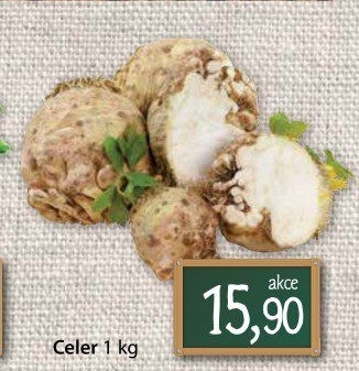 Celer bulva