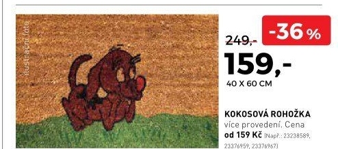 Kokosová rohožka