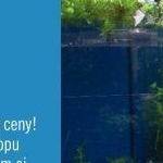 Či
