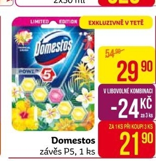 WC blok tuhý Power 5 Domestos
