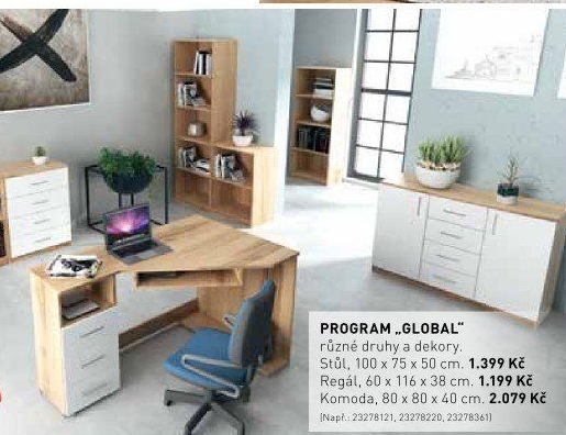 Program Global