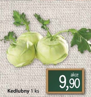 Kedlubna bílá