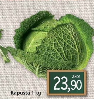 Kapusta hlávková