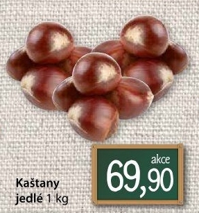 Jedlé kaštany