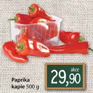Paprika červená kapie