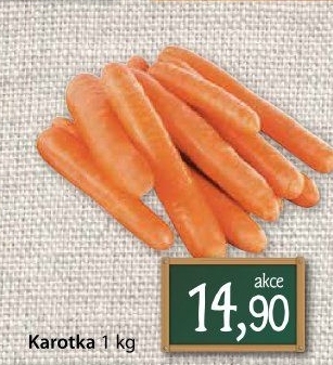 Karotka