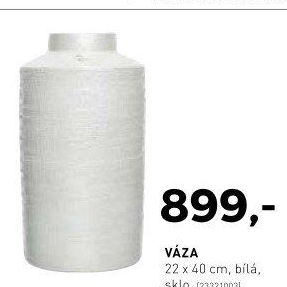Váza