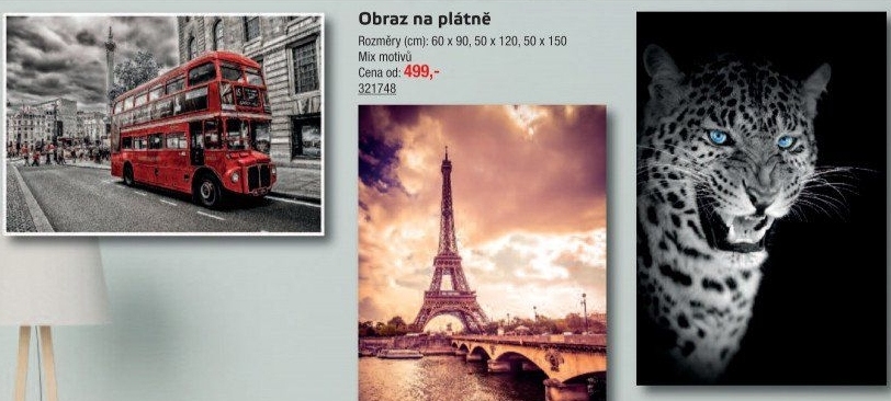 Obraz