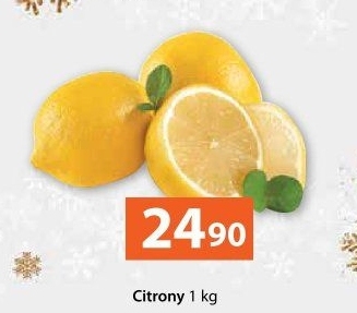 Citrony
