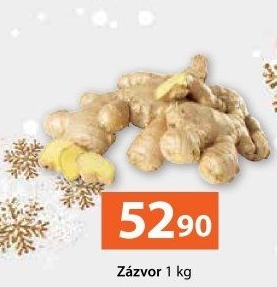 Zázvor čerstvý