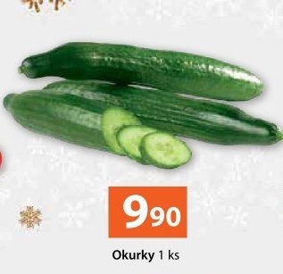 Okurka hadovka