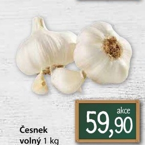 Česnek