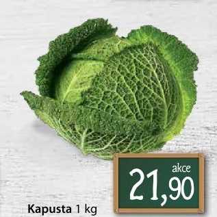 Kapusta hlávková