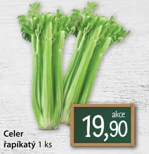 Celer řapíkatý