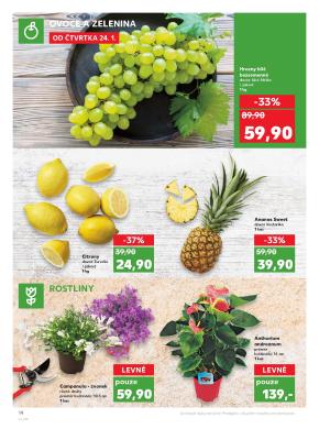 akční leták Kaufland 24.1.2019-30.1.2019