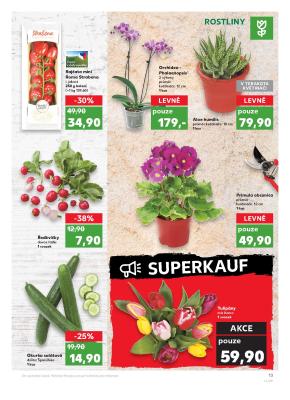 akční leták Kaufland 31.1.2019-6.2.2019