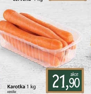 Karotka