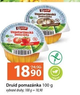 Vegetariánská pomazánka Druid